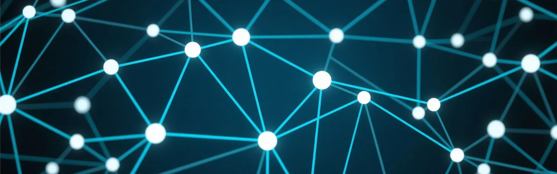 Support Network Background